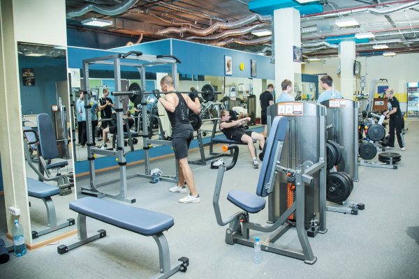PascalFit. Тренажерный зал