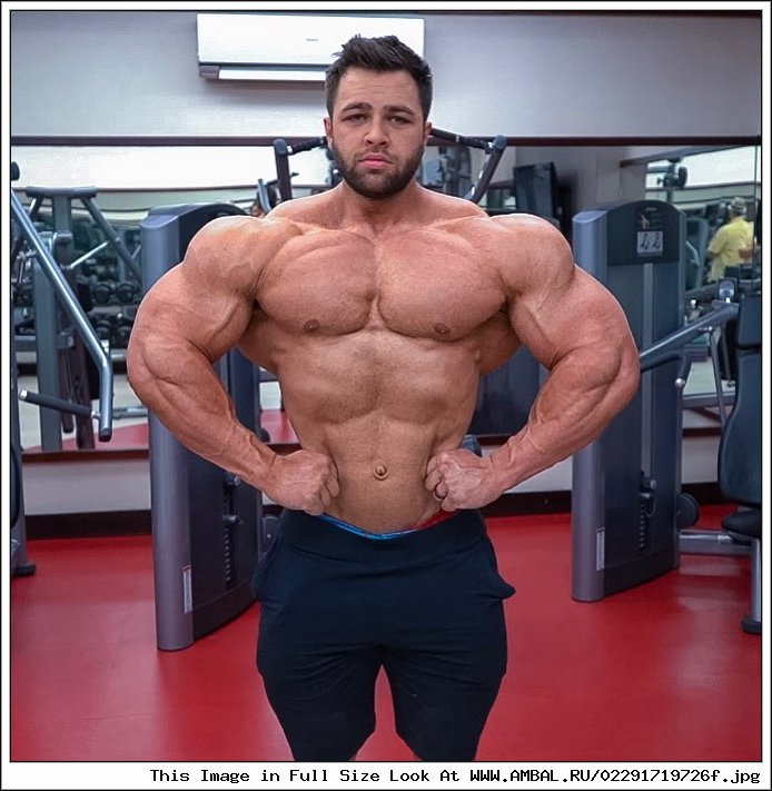 �������� �������� ����������: ����.