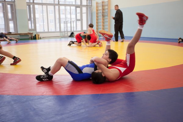 Спортивный комплекс «Измайлово». Единоборства