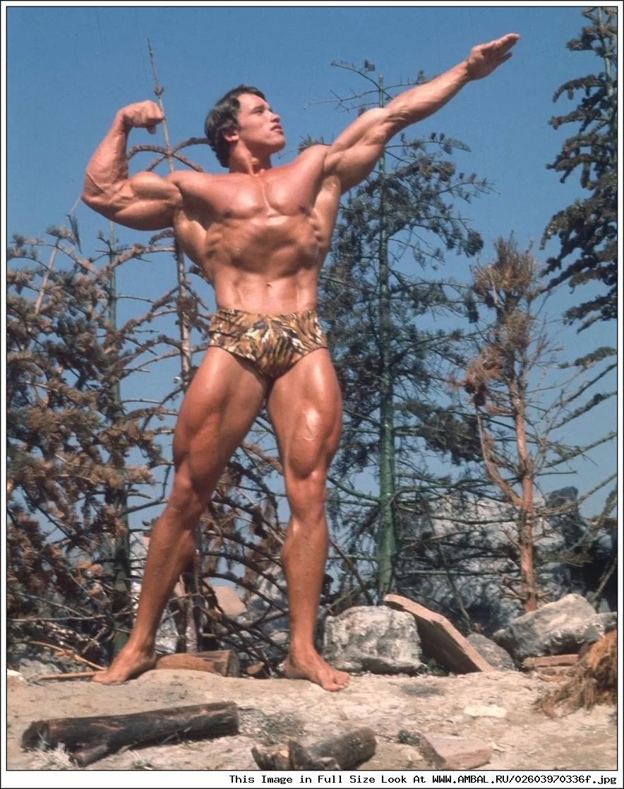Арнольд Шварценеггер и его друзья