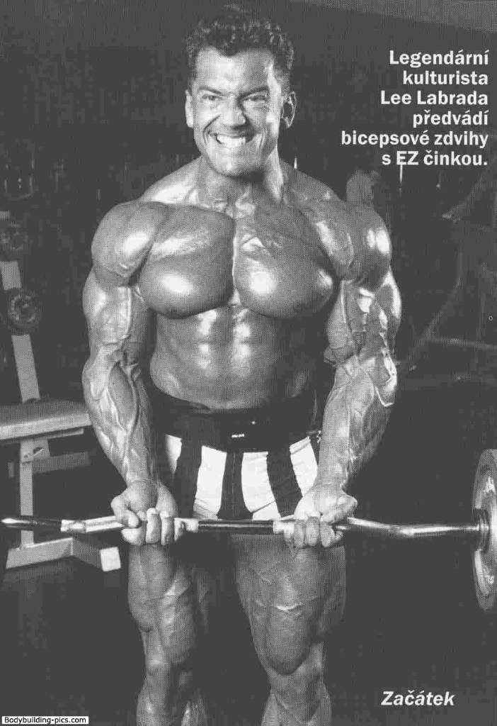 ���������� � ������ ���������: ����.