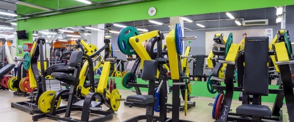 Alex Fitness — Вива Лэнд. Тренажерный зал