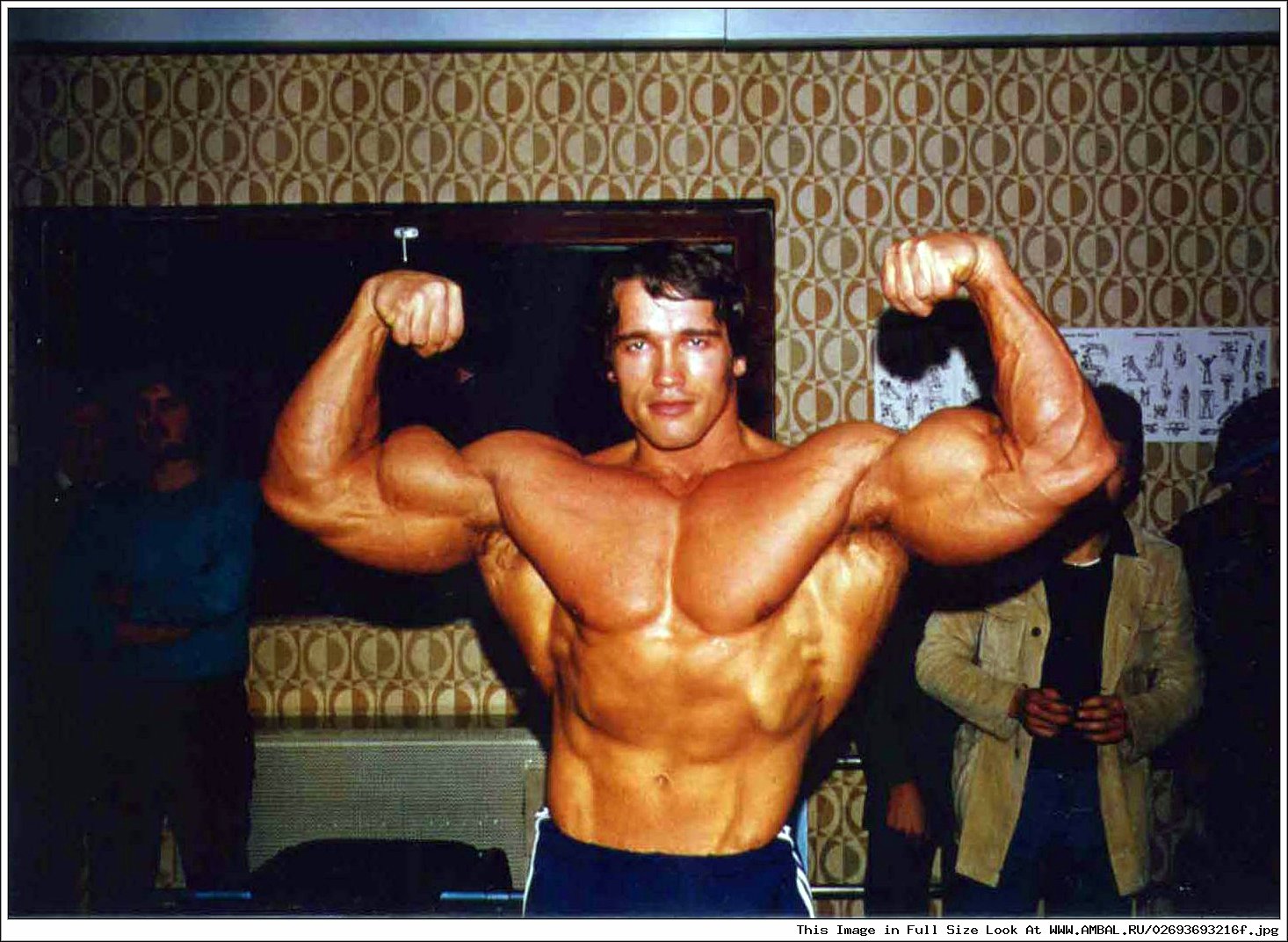 Arnold Schwarzenegger) Австрия.