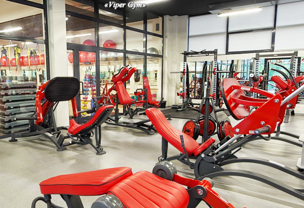 Фитнес центр Viper Gym — Ужгород. Тренажерный зал