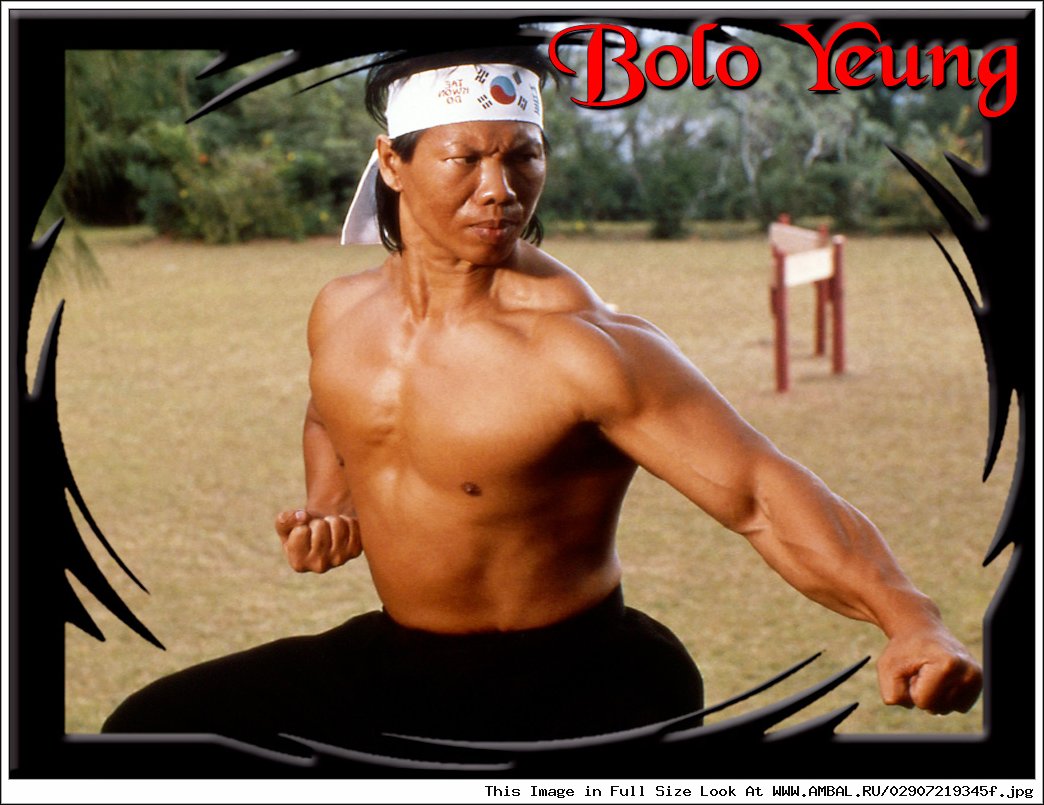 Боло Янг (Bolo Yeung) .