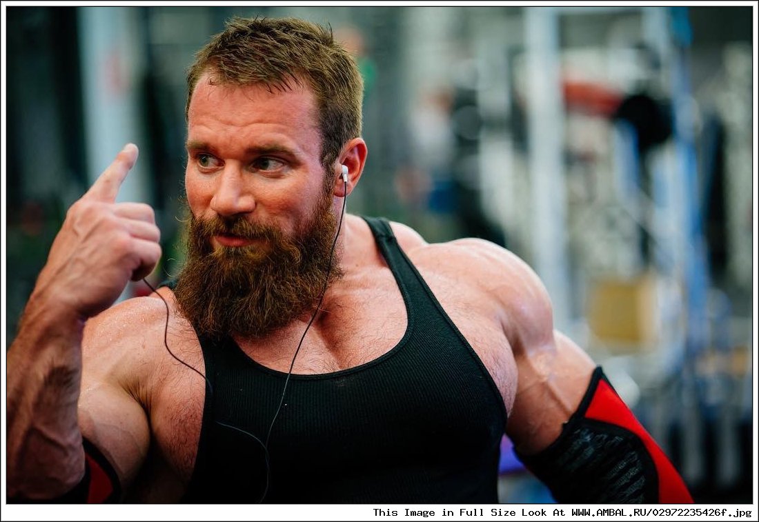 Seth feroce Р±РѕРґРёР±РёР»РґРёРЅРі