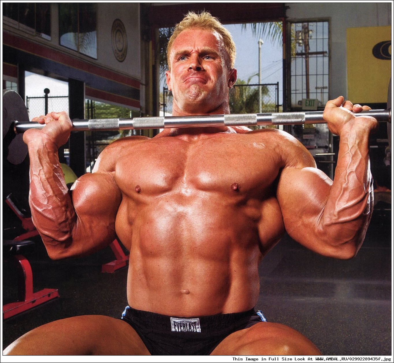 Hunk Gallery