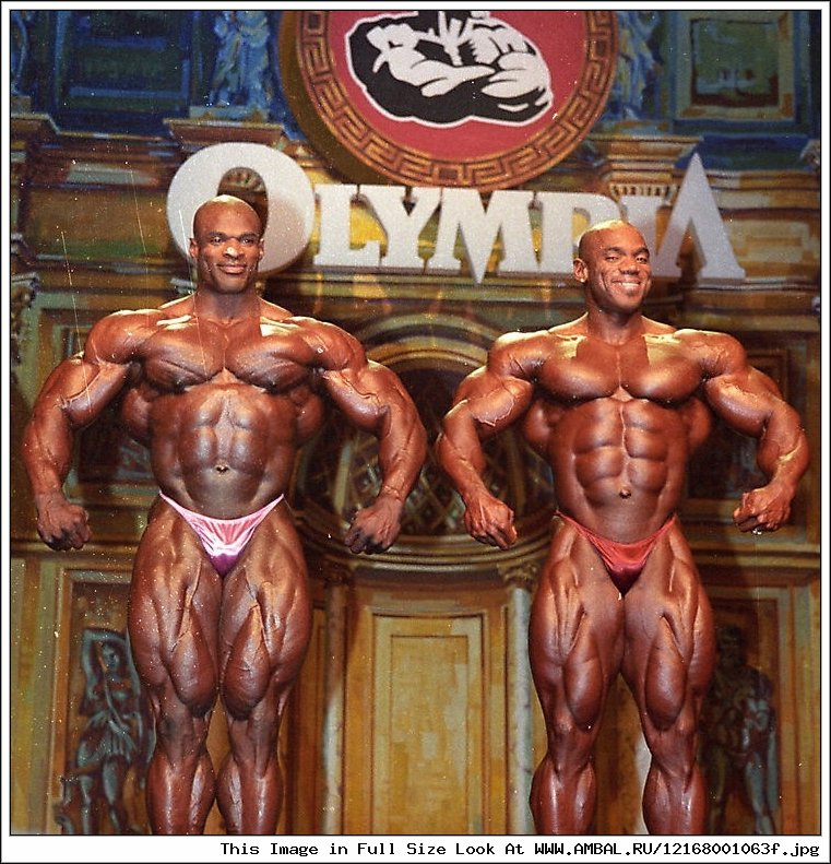 Muscle Flex Tumblr