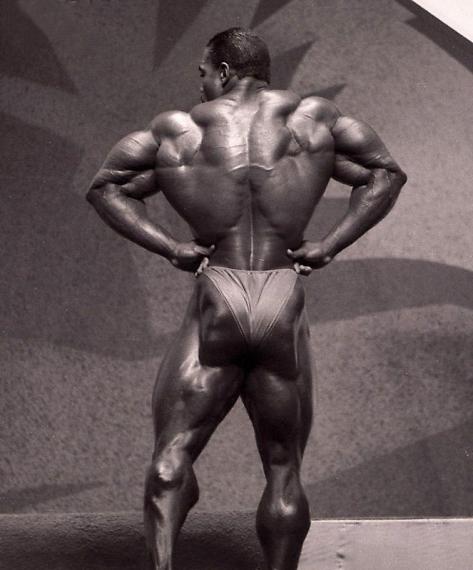 Flex Wheeler спина