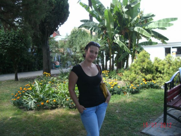 shefa