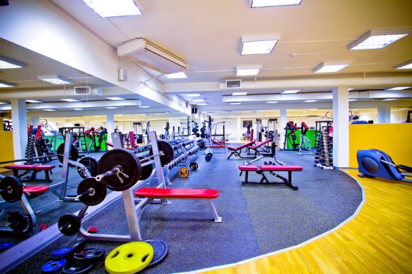 Alex Fitness — Богатырский. Тренажерный зал