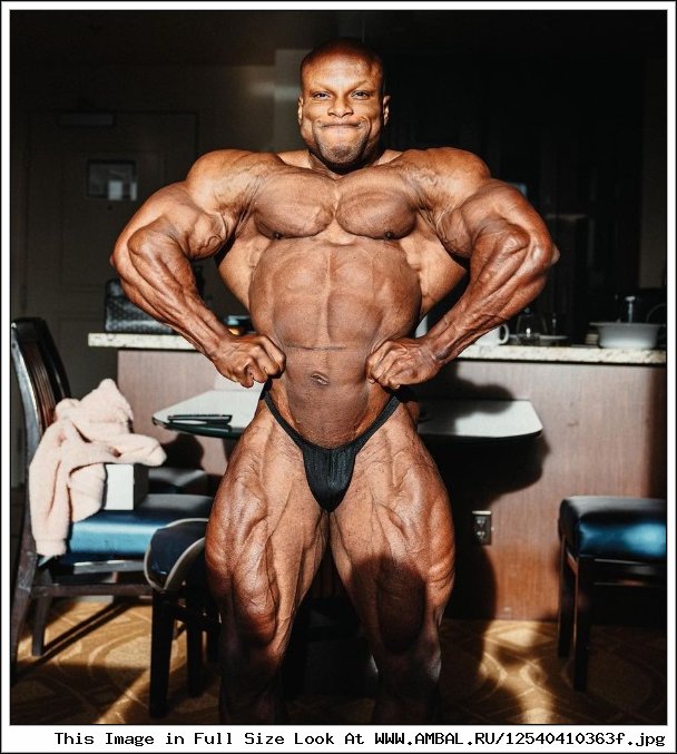Shawn Bodybuilder Died