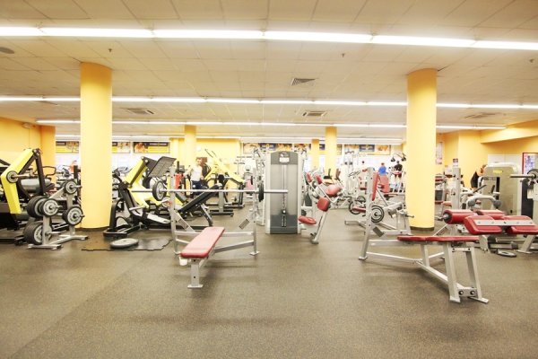 Fitness House на Просвещения. Тренажерный зал