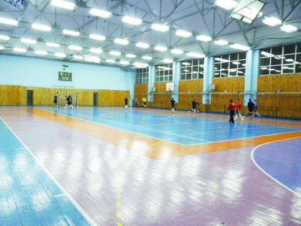 Спортивный комплекс Вирта. Игровая площадка
