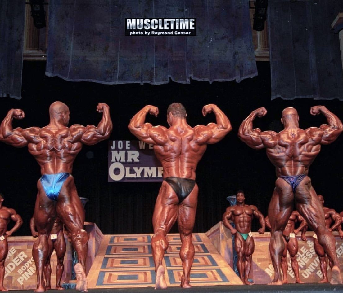 Flex Wheeler спина
