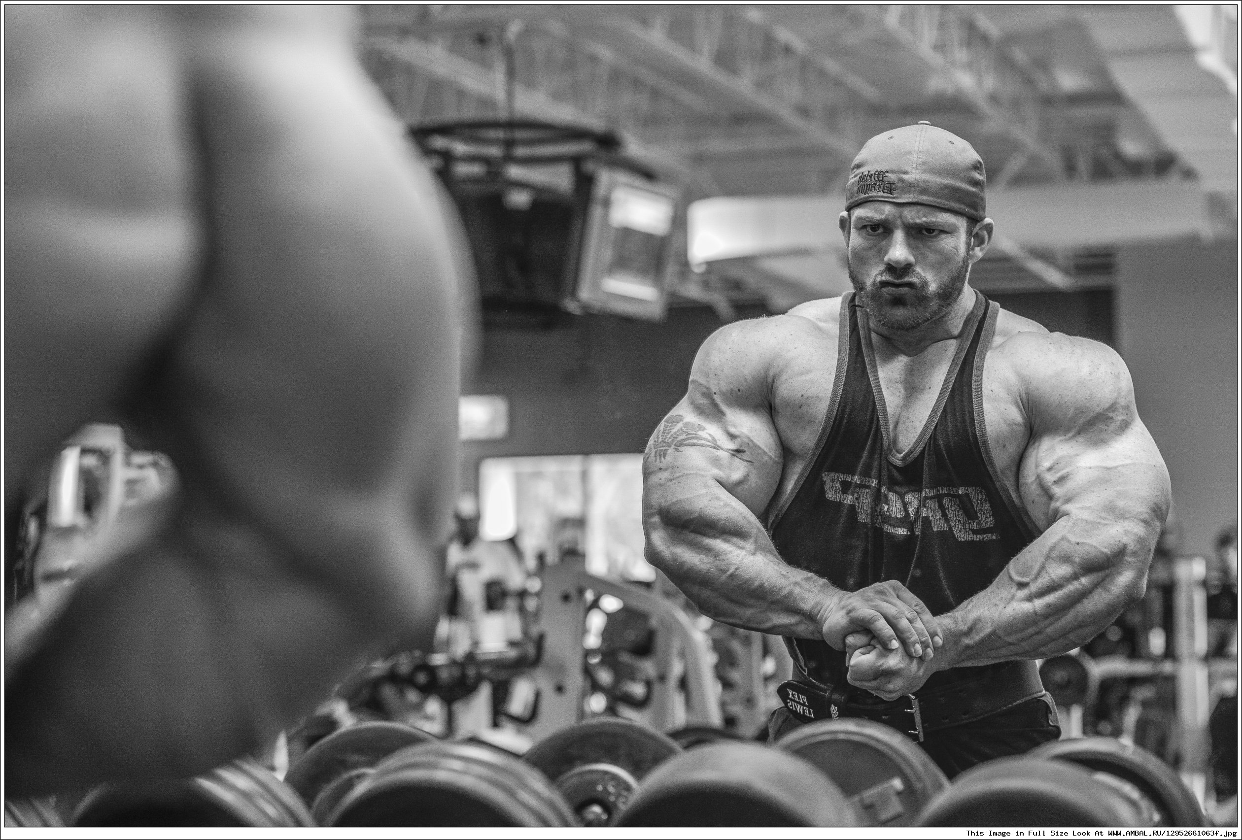 Flex Lewis лучшая форма