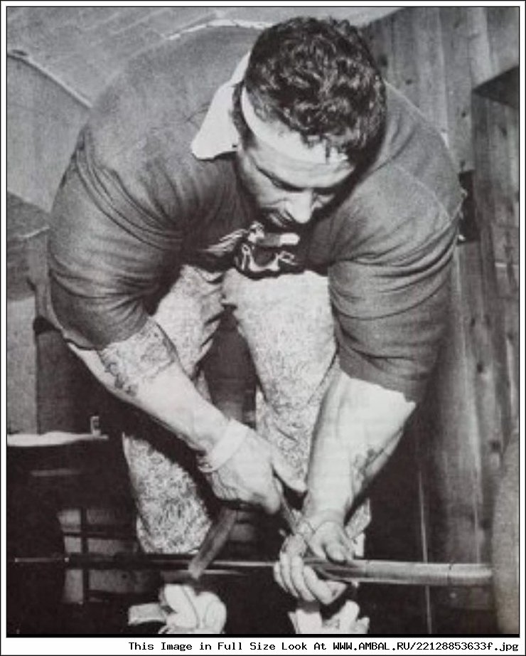 Dorian Yates Temple Gym