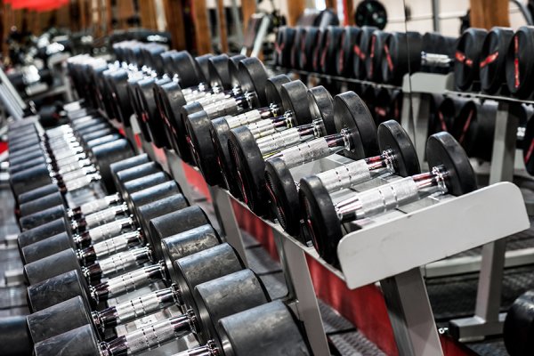 AR City Gym. Гантельный ряд