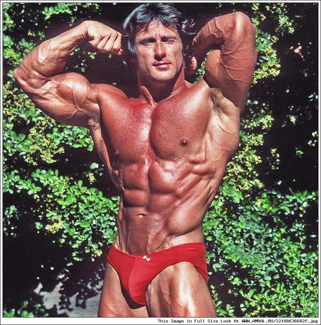 Frank Zane) США.