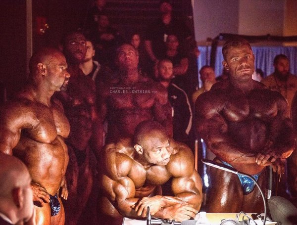 Bodybuilderin Mopse Dunkelhaarig Doppelter