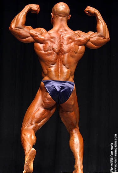 Erector Spinae