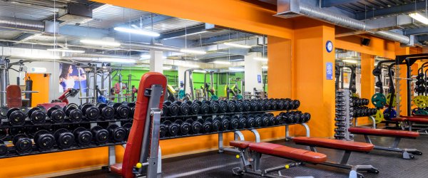 Alex Fitness — Фиолент. Тренажерный зал