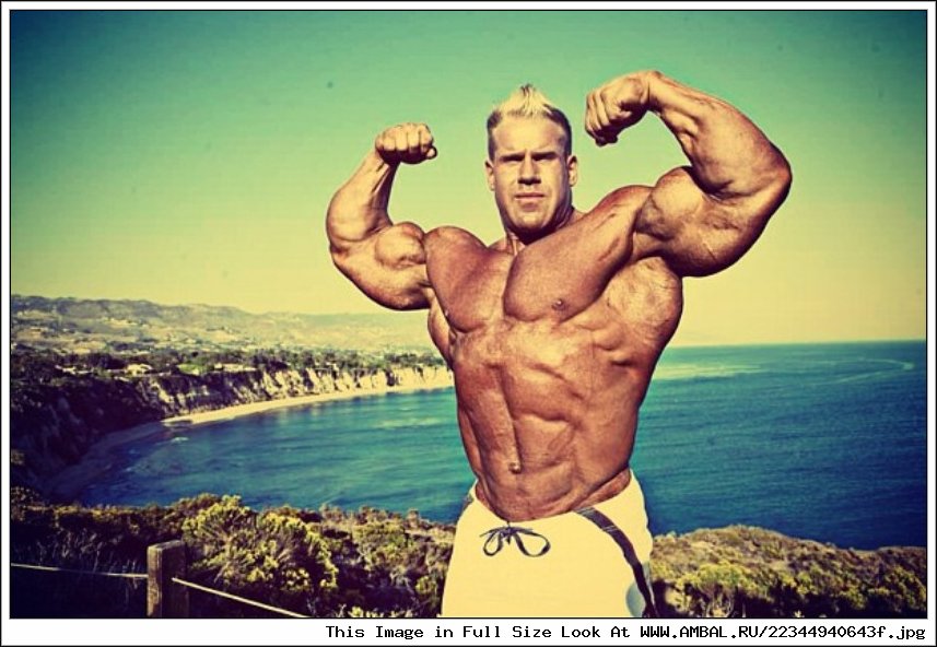 Jay Cutler