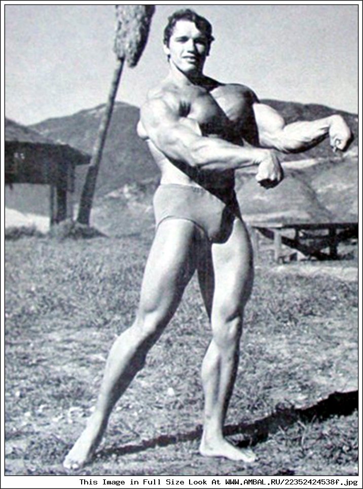 Arnold Schwarzenegger) Австрия.