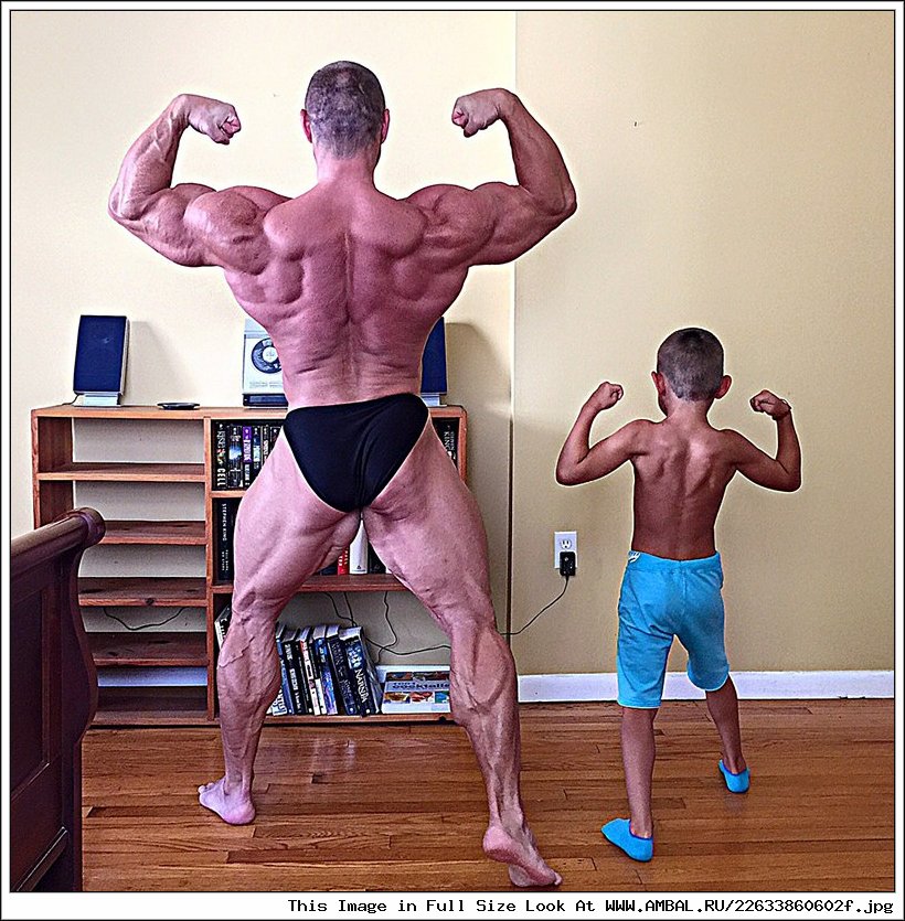 Стефан Хавлик bodybuilder