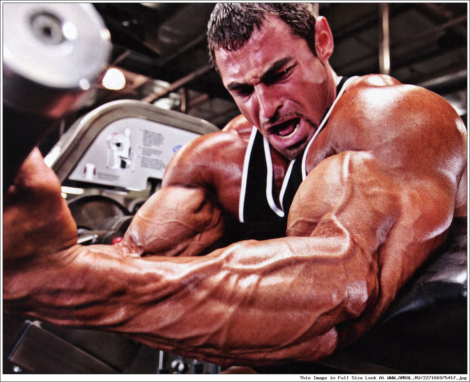 Muscle Hung