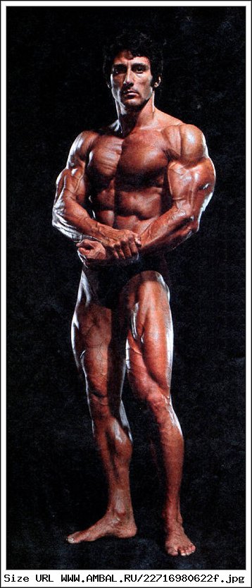 Frank Defeo Muscle