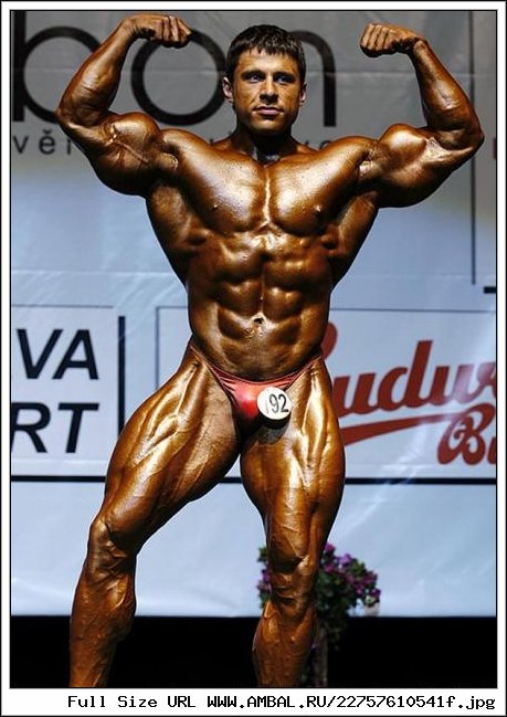 Стефан Хавлик bodybuilder