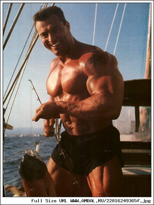 Muscle Gods