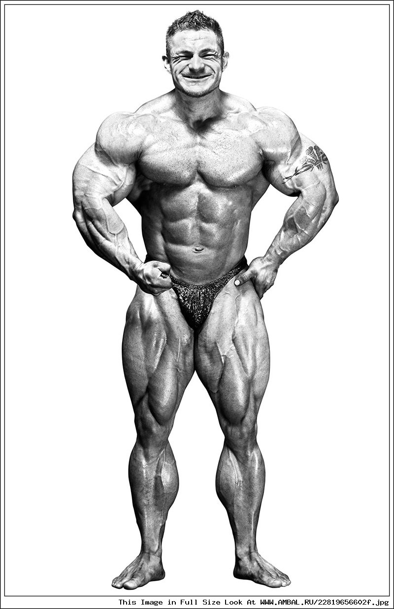 Live Muscle Show