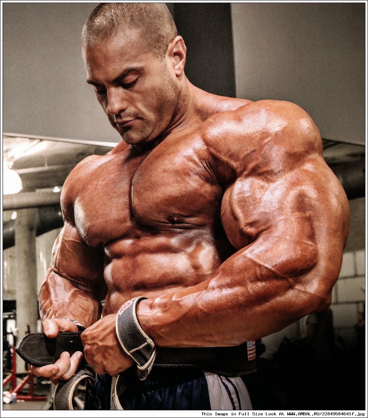 Evan Centopani