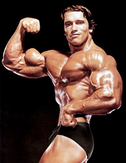 Арнольд Шварценеггер (Arnold Schwarzenegger) Арнольд Шварцнеггер, Арнольд Шварцнегер,, фотографии, биография, соревнования, бодибилдинг
