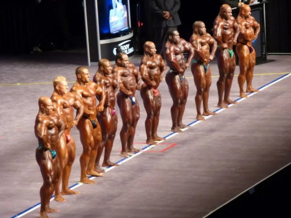 Лионель Бейек (Lionel Beyeke), Деннис Вольф (Dennis Wolf), Кай Грин (Kai Greene), Декстер Джексон (Dexter Jackson), Джонни Джексон (Johnnie Jackson), Шон Роден (Shawn Rhoden), Бренч Уоррен (Branch Warren), Тони Фриман (Toney Freeman), Фил Хит (Phil Heath), Эван Центопани (Evan Centopani), Мистер Олимпия 2012 года