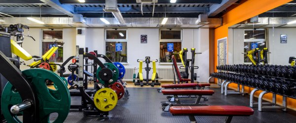Alex Fitness — Фиолент. Тренажерный зал
