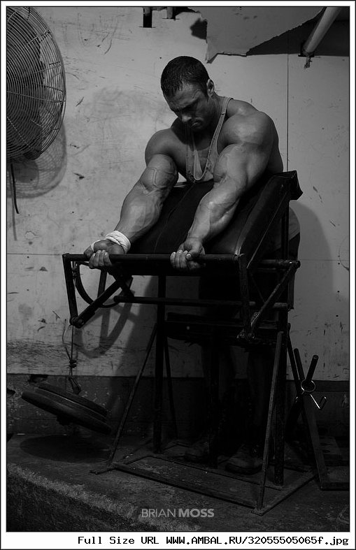Wrath Frank MCGRATH