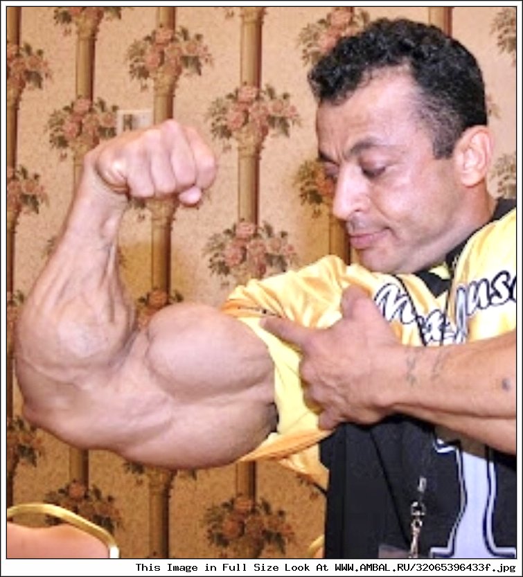 Мустафа Мохаммед (Mustafa Mohammed), фотографии, биография ...