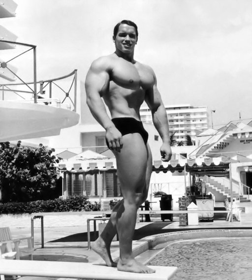 Арнольд Шварценеггер (Arnold Schwarzenegger)