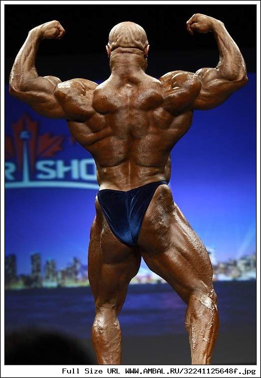 Bill Wilmore Training
