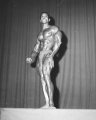 Арнольд Мистер Олимпия 1973