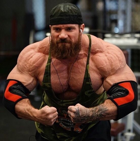 Seth feroce Р±РѕРґРёР±РёР»РґРёРЅРі