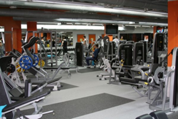 Zebra Fitness. Тренажерный зал