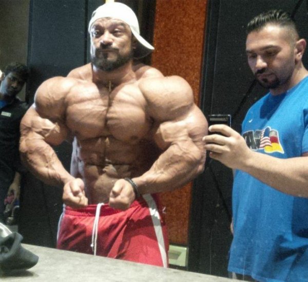 Roelly Winklaar РљСѓРІРµР№С‚