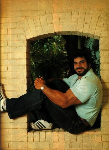 Лу Ферриньо (Lou Ferrigno)