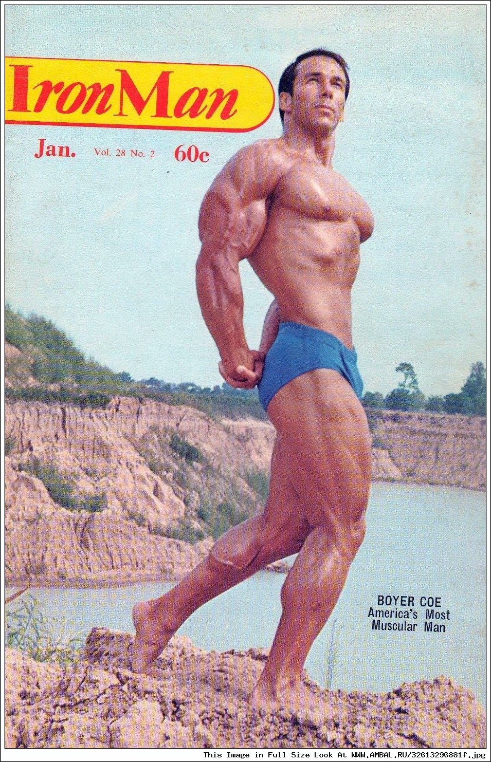 Бойер Ко (Boyer Coe), фотографии, биография, соревнования, бодибилдинг