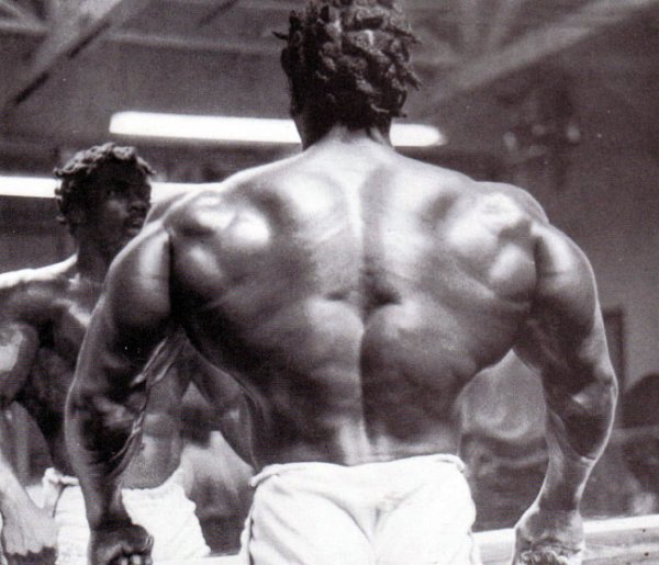 ������ 1295 Dac �������: ����.