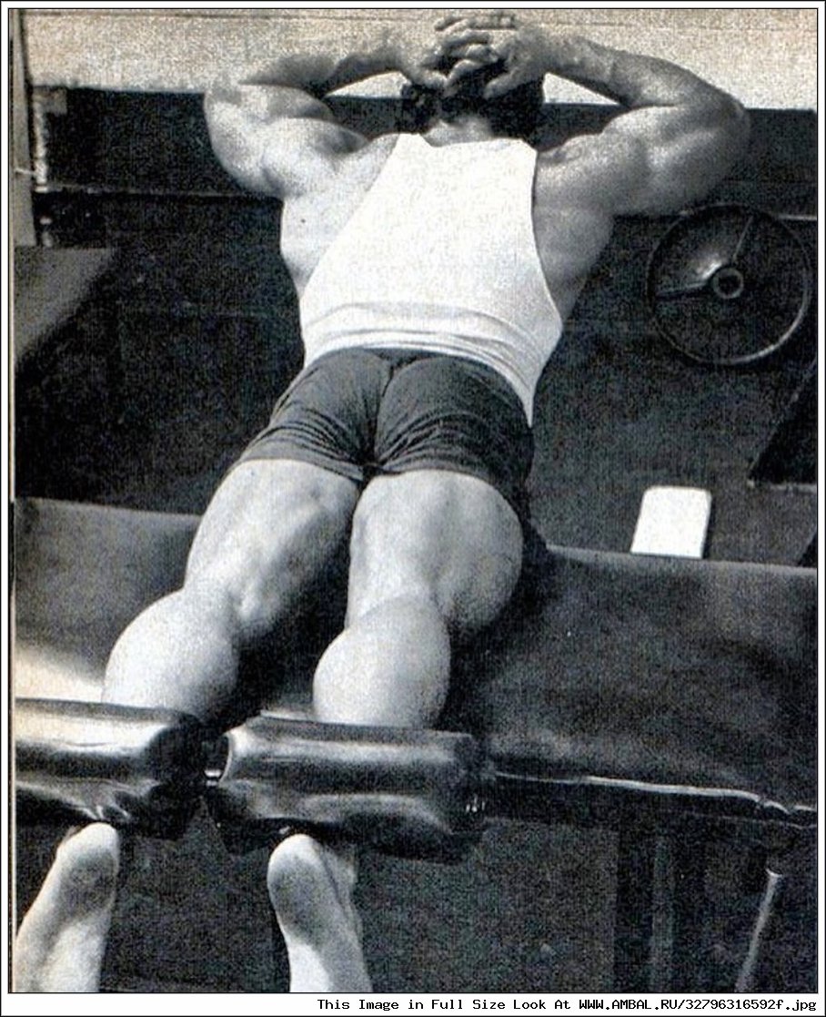 Arnold Schwarzenegger) Австрия.